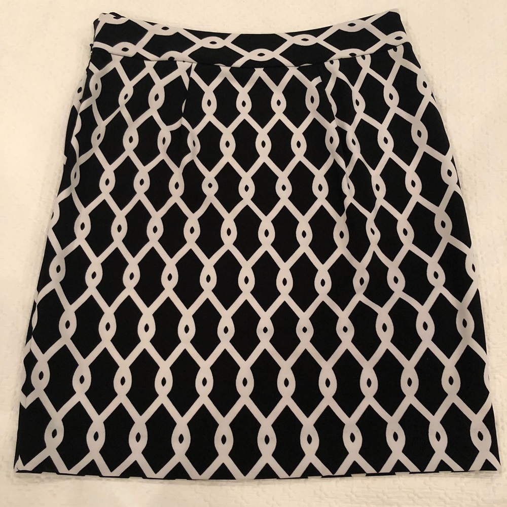 Dress Skirt